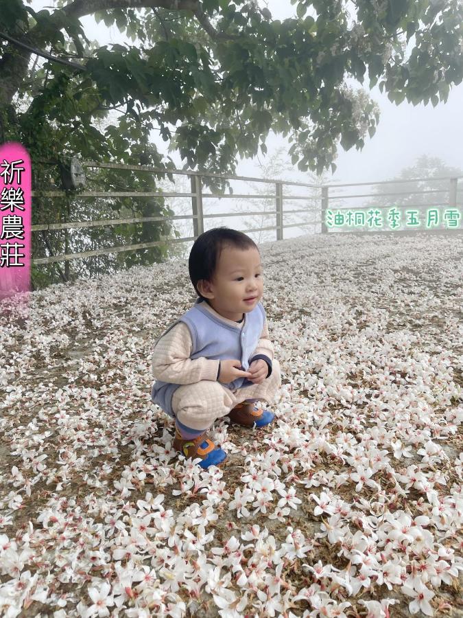 Lala Mountain Homestay‧Cile Farm Hualing Bagian luar foto