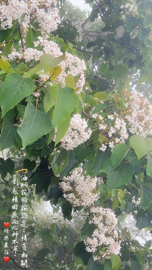 Lala Mountain Homestay‧Cile Farm Hualing Bagian luar foto